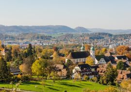 Lais Puzzle - Arlesheim, Baselland, Schweiz - 1.000 Teile