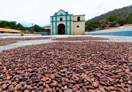 Lais Puzzle - Kakaobohnen beim Trocknen im Innenhof der Kirche von Chuao im Bundesstaat Aragua, Venezuela - 1.000 Teile