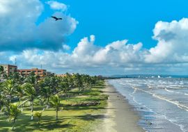 Lais Puzzle - Paradiesischer Ort mit Palmen und Strand in Tucacas, Venezuela - 1.000 Teile