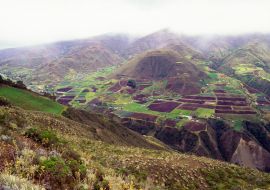 Lais Puzzle - Plantagen auf einem Berg, Tuñame, Bundesstaat Trujillo, Venezuela - 1.000 Teile