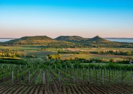Lais Puzzle - Weinberge und der Berg Badacsony mit dem Plattensee bei Sonnenuntergang in Ungarn - 1.000 Teile