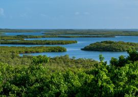 Lais Puzzle - Tropische Meereslandschaft mit Wasservegetation im Nationalpark von Morrocoy (Falcon, Venezuela) - 1.000 Teile