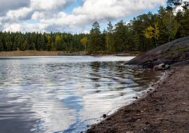 Lais Puzzle - Sandstrand in einem finnischen Wald im Herbst. Teijo-Nationalpark, Salo - 1.000 Teile