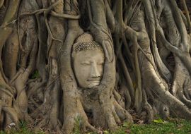 Lais Puzzle - Alte Gebäude von Ayutthaya Thailand - 1.000 Teile