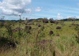 Lais Puzzle - Casacoima Delta Amacuro. Venezuela - 1.000 Teile