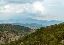 Lais Puzzle - Blick auf den üppigen Wald um den Berg Olympus, Zypern - 1.000 Teile