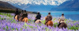Lais Puzzle - Reisende reiten auf Pferden durch ein Lupinenfeld mit Blick auf die wunderschöne Landschaft des Mt Cook National Park in Neuseeland. Die Lupinen stehen im Dezember bis Januar, dem neuseeländischen Sommer, in voller Blüte - 2.000 Teile