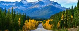 Lais Puzzle - Panoramastraße 93 schöner "Icefield Parkway" im herbstlichen Jasper National Park, Kanada - 2.000 Teile
