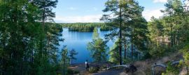 Lais Puzzle - Sommerliche Seeszene am Wanderweg im Teijo-Nationalpark, Salo, Finnland. Bäume und der Matildajarvi-See - 2.000 Teile