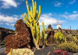 Lais Puzzle - Guatiza, Lanzarote - 1.000 Teile