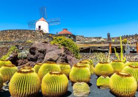 Lais Puzzle - Guatiza, Lanzarote - 1.000 Teile