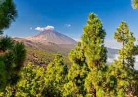 Lais Puzzle - Vulkan Teide - Aussicht von Mirador La Crucita, Teneriffa - 1.000 Teile