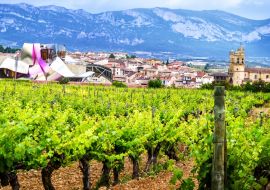 Lais Puzzle - Elciego, Rioja, Spanien - 1.000 Teile