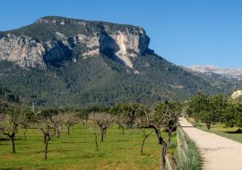 Lais Puzzle - Naturgebiet der Sierra de Tramuntana, Mallorca - 1.000 Teile