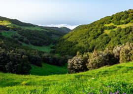 Lais Puzzle - El Hierro - 1.000 Teile