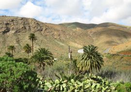 Lais Puzzle - Vega Rio de Palmas, Fuerteventura - 1.000 Teile