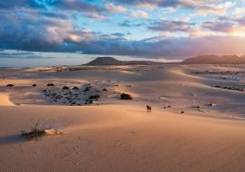 Lais Puzzle - Dunas de Corralejo, Fuerteventura - 1.000 Teile