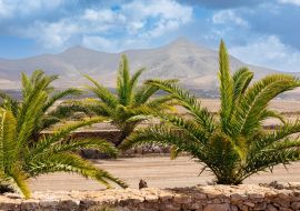 Lais Puzzle - Molino de Tefia, Fuerteventura - 1.000 Teile