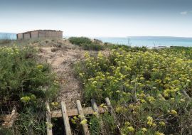 Lais Puzzle - Sant Ferran de ses Roques, Formentera Balearen Spanien  - 1.000 Teile