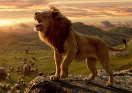 Lais Puzzle - Löwe brüllt auf der Klippe - 1.000 Teile