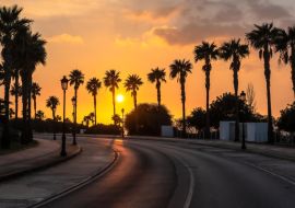 Lais Puzzle - Schöner Sonnenuntergang an einer palmengesäumten Küstenstraße von Conil de la Frontera in Südspanien - 1.000 Teile