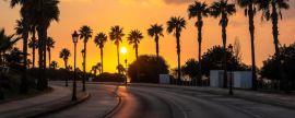 Lais Puzzle - Schöner Sonnenuntergang an einer palmengesäumten Küstenstraße von Conil de la Frontera in Südspanien - 2.000 Teile