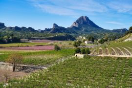 Lais Puzzle - Pfirsichblüte in Cieza, Mirador El Horno - 2.000 Teile