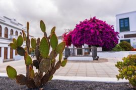 Lais Puzzle - Kakteen am bunten Zentralplatz von Haría auf Lanzarote - 2.000 Teile
