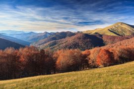 Lais Puzzle - Dschungel von Irati, Navarra - 2.000 Teile