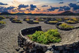 Lais Puzzle - La Geria Weinberg, Lanzarote - 2.000 Teile