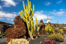 Lais Puzzle - Guatiza, Lanzarote - 2.000 Teile