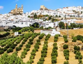 Lais Puzzle - Pueblo Blancos - Olvera, Cadiz, Andalusien, Spanien - 1.000 Teile