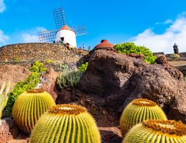 Lais Puzzle - Kaktusgarten, Jardin de Cactus in Guatiza, Lanzarote, Kanarische Inseln, Spanien - 1.000 Teile
