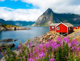 Lais Puzzle - Lofoten, Norwegen - 1.000 Teile