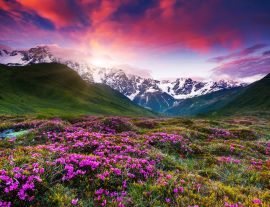 Lais Puzzle - Berglandschaft - 1.000 Teile