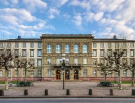 Lais Puzzle - Universität Gießen - 1.000 Teile