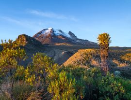 Lais Puzzle - Vulkan Tolima im Los Nevados National Park mit üppiger Vegetation frailejones (Espeletia), Kolumbien - 1.000 Teile