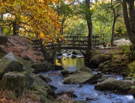 Lais Puzzle - Brücke im Padley Gorge Waldgebiet im Herbst, schöne Farben des Peak District, England - 1.000 Teile