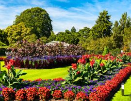 Lais Puzzle - Blumen in den Kew Royal Botanic Gardens in London, England - 1.000 Teile