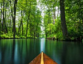 Lais Puzzle - Blick auf den Spreewald - Spree Wald, Deutschland - 1.000 Teile