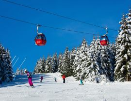 Lais Puzzle - Blick auf den Harz, Winterlandschaft im Oberharz, Bundesland Niedersachsen, Deutschland. - 1.000 Teile