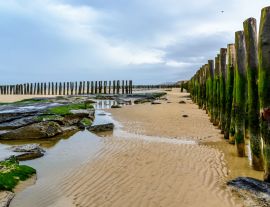 Lais Puzzle - Hölzerner Wellenbrecher am Strand von Wissant, cote opale, Frankreich - 1.000 Teile