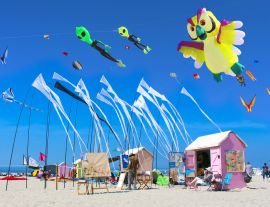 Lais Puzzle - Berck-sur-Mer - Frankreich / Festival du cerf-volant - 1.000 Teile