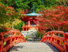 Lais Puzzle - Daigoji-Tempel, Kyoto, Japan - 1.000 Teile