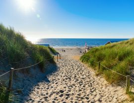 Lais Puzzle - Zugang zum Strand in den Dünen von Texel, Niederlande - 1.000 Teile