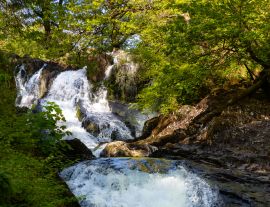 Lais Puzzle - Betws y Coed, Conwy, Wales - 1.000 Teile