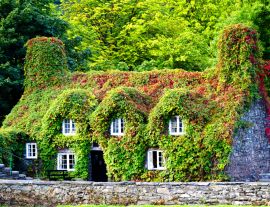 Lais Puzzle - Pont Fawr, berühmte mittelalterliche Steinbrücke über den Fluss Conwy, erbaut von Inigo Jones, und Tu-Hwnt-l'r Bont - altes, mit Weinlaub bedecktes Häuschen, Llanrwst, Caernarfon, Nordwales - 1.000 Teile