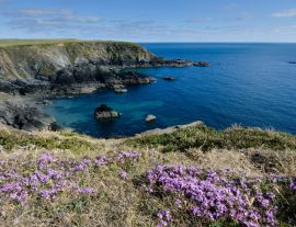 Lais Puzzle - Pembrokeshire, Küste, Wales - 1.000 Teile