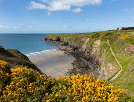 Lais Puzzle - Pembrokeshire Caerfai Bay Wales UK - 1.000 Teile