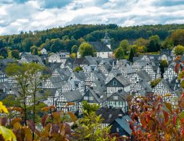 Lais Puzzle - Freudenberg - 1.000 Teile